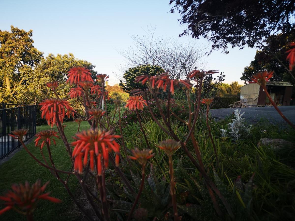 River Side Lodge Whakamarama 외부 사진