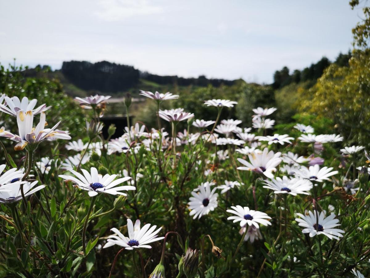 River Side Lodge Whakamarama 외부 사진