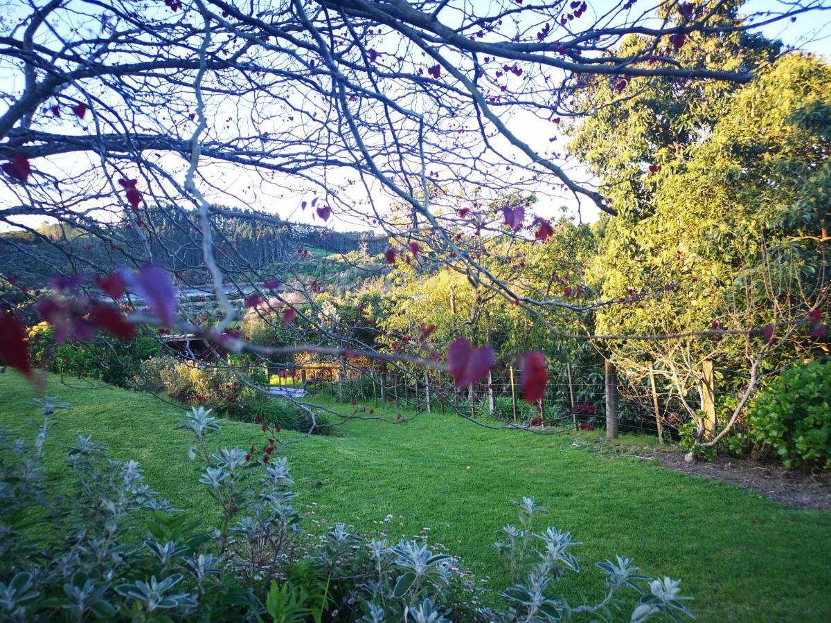 River Side Lodge Whakamarama 외부 사진