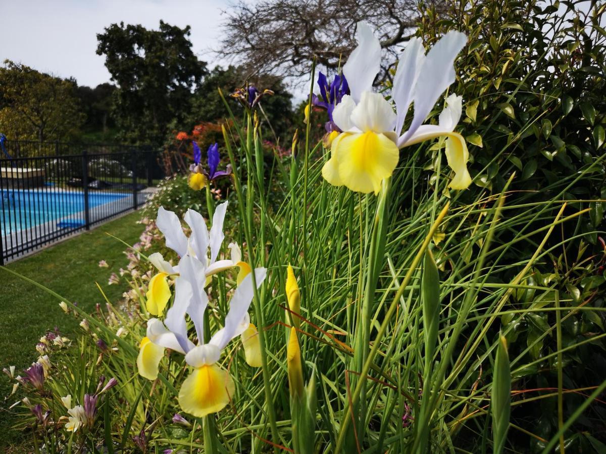 River Side Lodge Whakamarama 외부 사진